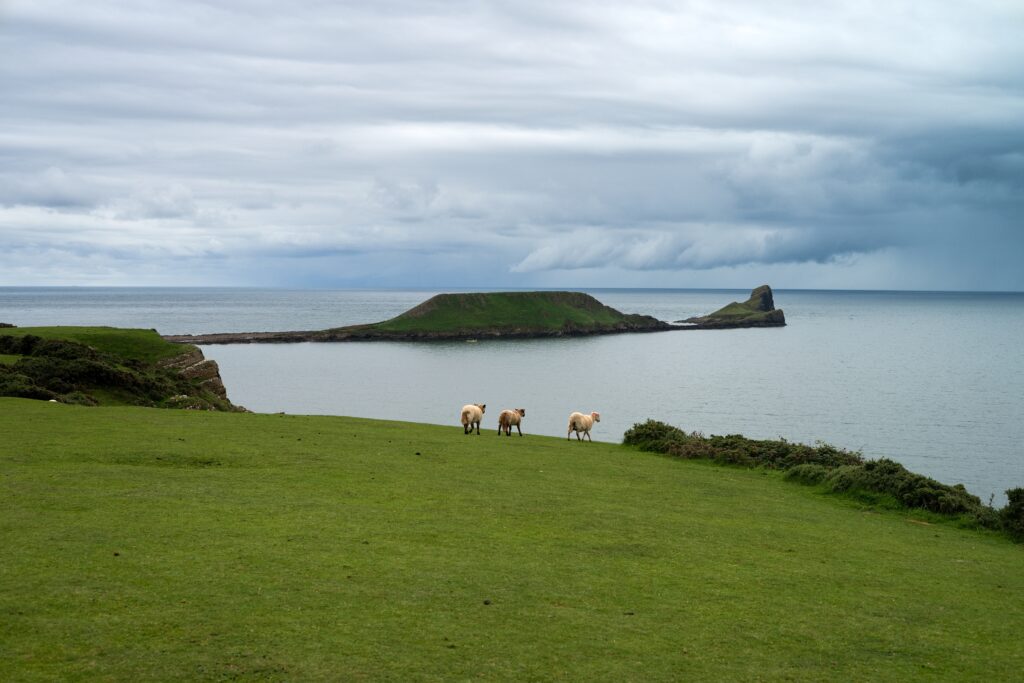 Worm's head u Rhossili Bay